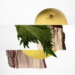 Terre d'Hermès - Parfémová voda