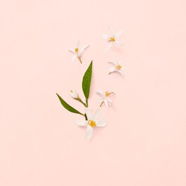 Gucci Bloom EDT - Toaletní voda