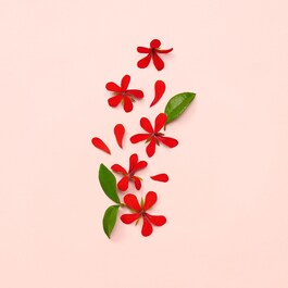 Gucci Bloom - Parfémová voda
