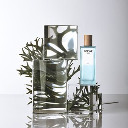 Loewe Agua El - Toaletní voda