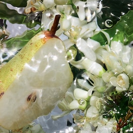 Aqua Allegoria Pera Granita - Eau de Toilette