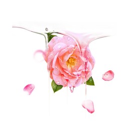 Bulgarian Rose UFO - Hydratační maska