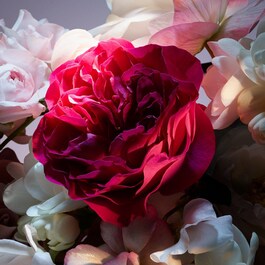 La Nuit Trésor Fleur de Nuit - Parfémová voda