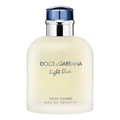 Light Blue Pour Homme - Toaletní voda, DOLCE & GABBANA
