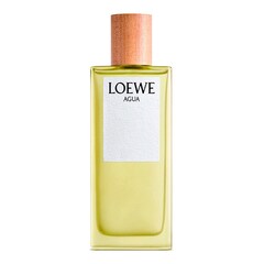 Loewe Agua - Toaletní voda, LOEWE