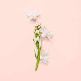 Gucci Bloom - Parfémová voda