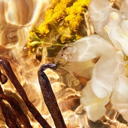Aqua Allegoria Forte Bosca Vanilla - Parfémová voda