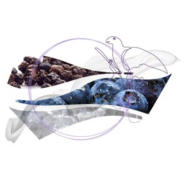 The product image is missing!