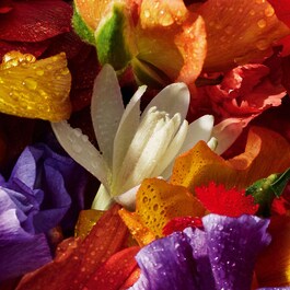Aqua Allegoria Florabloom Forte - Eau de Parfum