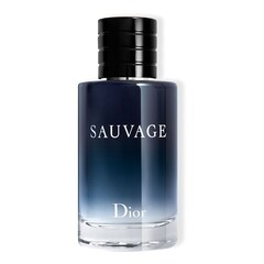 Sauvage – Toaletní voda pro muže – Kořeněné, dřevité a ambrové tóny, DIOR