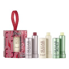 Tint & Treat Lip Care Set - Sada péče o rty , FRESH
