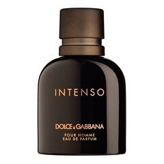 Pour Homme Intenso - Parfémová voda, DOLCE & GABBANA