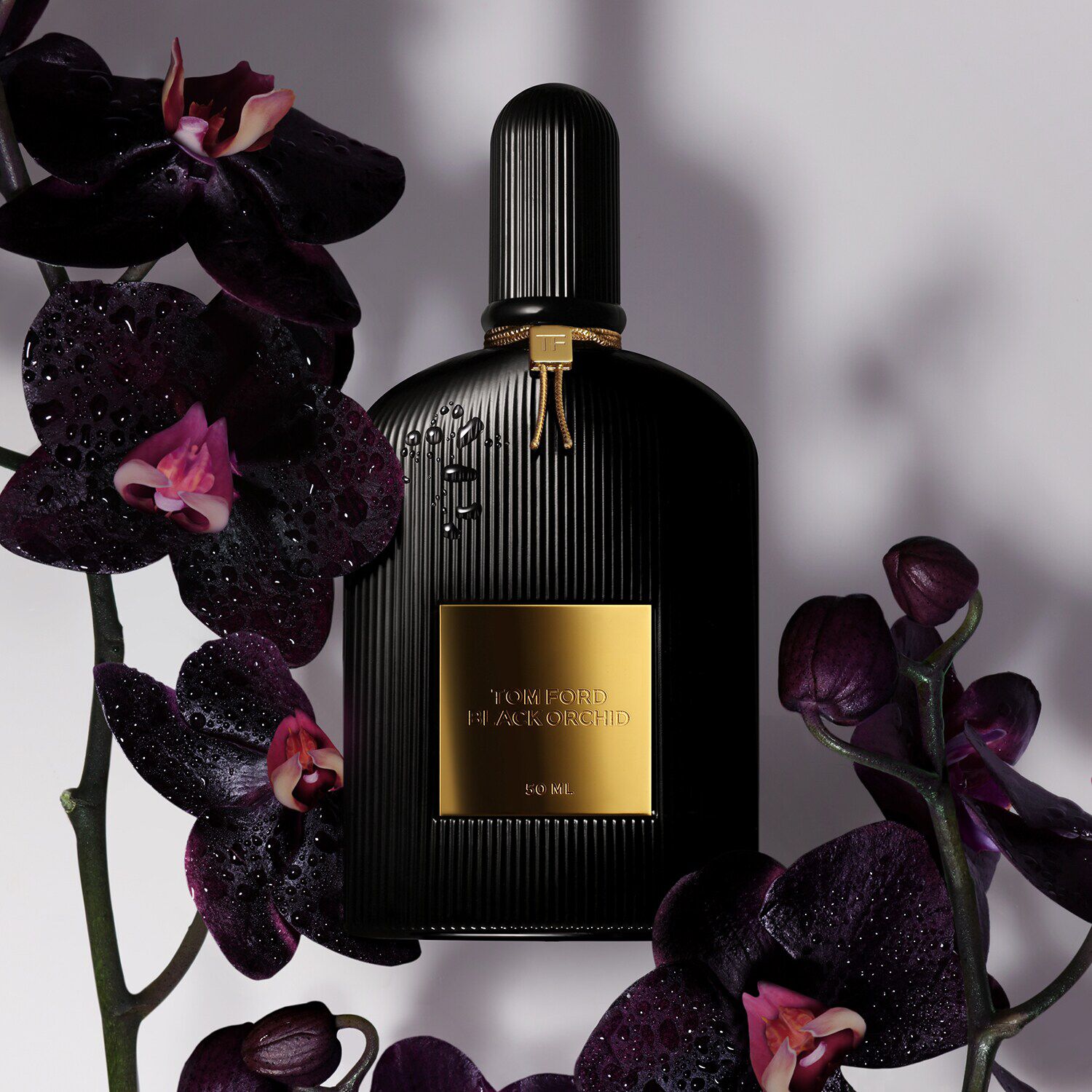 Black outlet orchid parfem