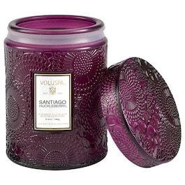 Japonica Santiago Huckleberry Small Jar Candle - Svíčka