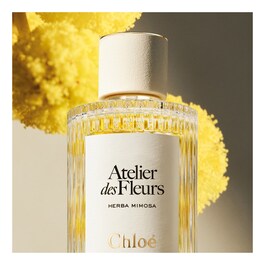Chloé Atelier des Fleur Herba Mimosa - Eau de Parfum
