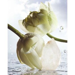 Bvlgari Man Rain Essence - Parfémová voda