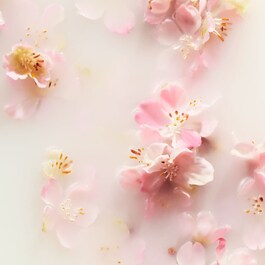 The Ritual of Sakura - Dárková sada