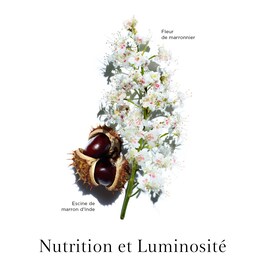 Nutri-Lumiére Renewing Treatment Essence - Revitalizační fluid