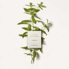 Chloé Atelier des Fleur Verbena - Eau de Parfum