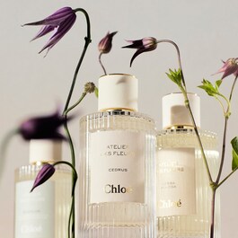 Chloé Atelier des Fleur Herba Mimosa - Eau de Parfum