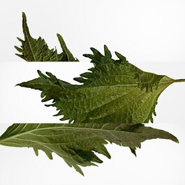 Terre d'Hermès - Parfémová voda
