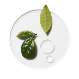 Moisture Surge - Koncentrovaný hydratační krémový gel mini