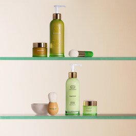 Refining Cleanser - Odličovač