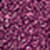503 Neon Prune